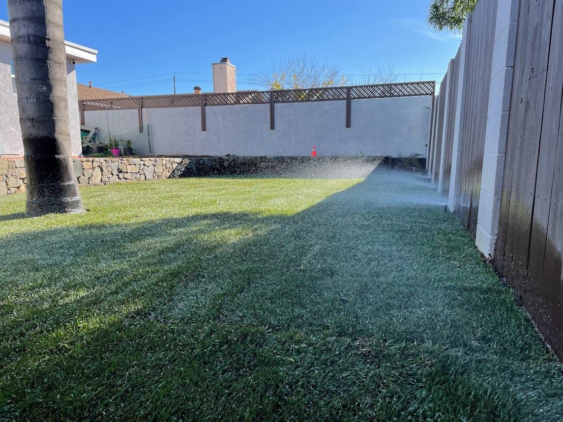 New sod lawn and irrigation installation in La Mesa, San Diego