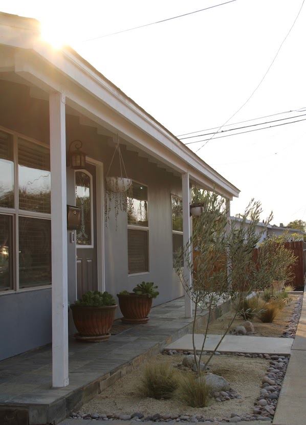 Front porch and planting bed with olive tree and succulents in San Diego