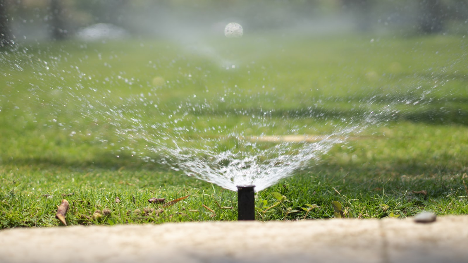 In-ground sprinkler head watering a lawn