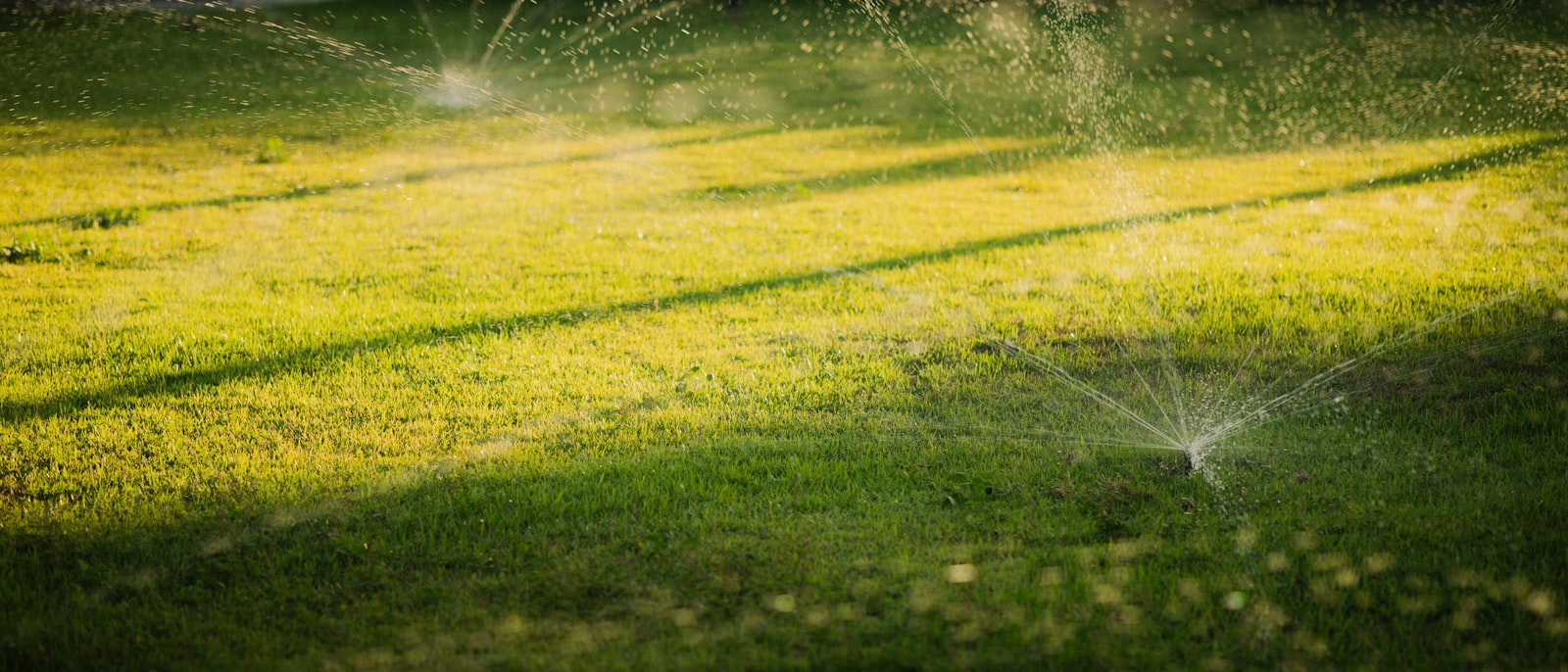 Lawn sprinkler system watering a green lawn at sunset