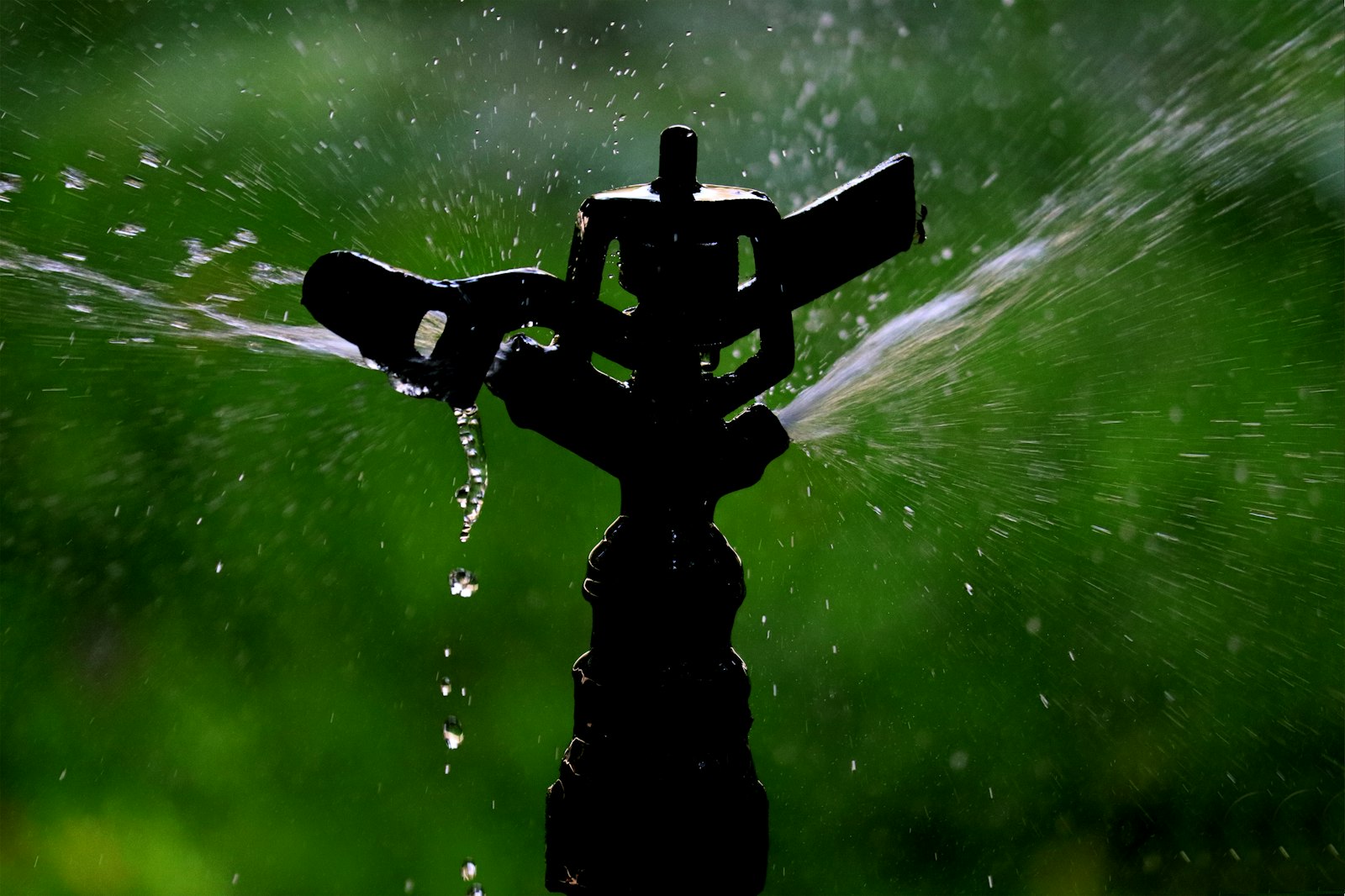 Close-up of a sprinkler head spraying water